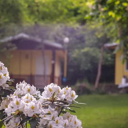 Bungalow In The Heart Of Nature For 2 Or 3 Persons *
